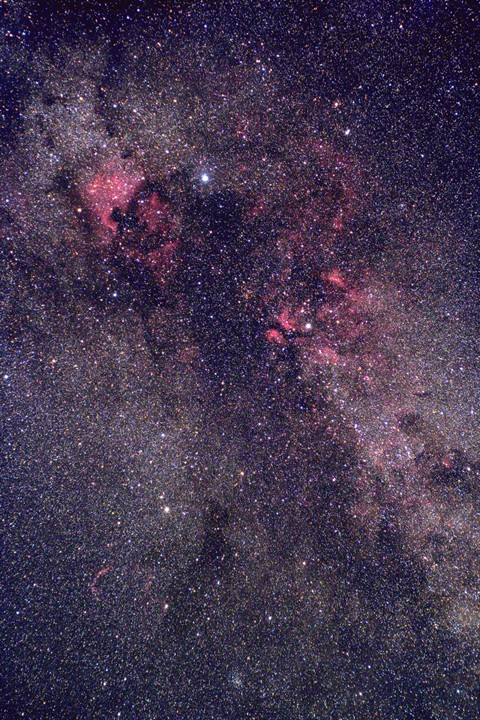 Cygnus, nordöstl. Teil © Ralf Hofner