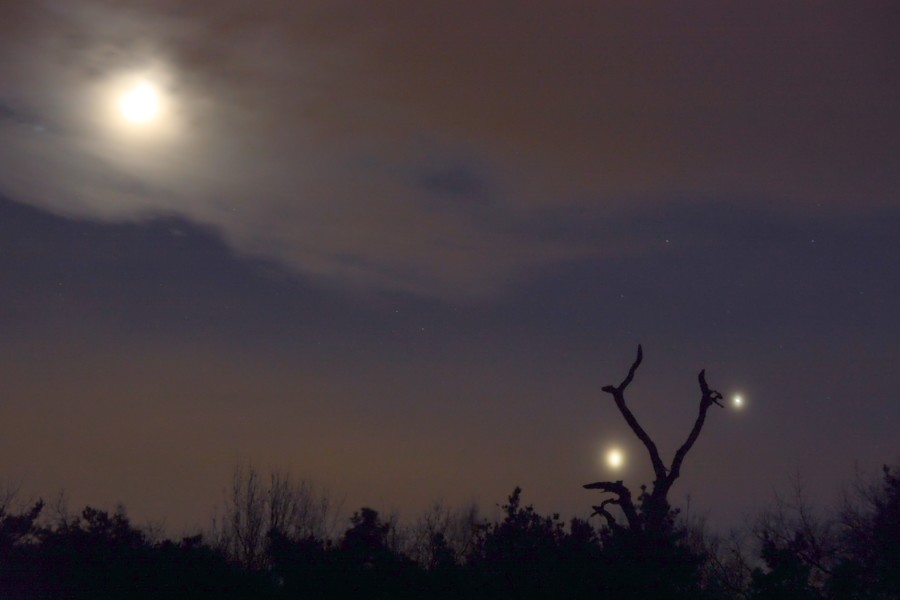Mond, Venus und Jupiter am 02.12.2008 ©  Stefan Simon